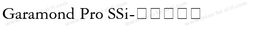 Garamond Pro SSi字体转换